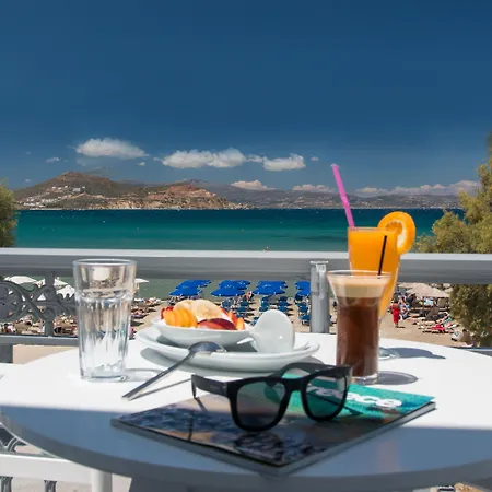 Hotel Ippokampos Beachfront 2*