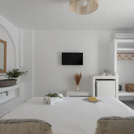 ホテル Ippokampos Beachfront